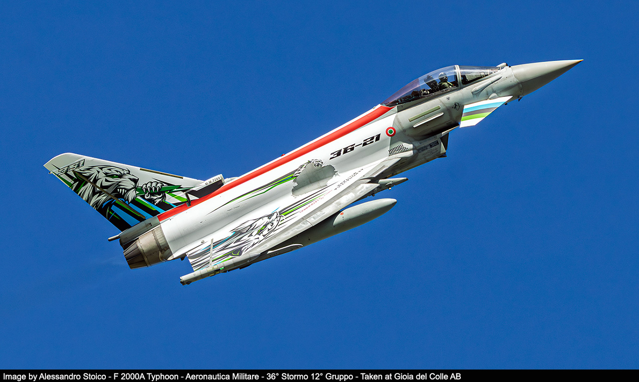 351a squadriglia tigri bianche image 149