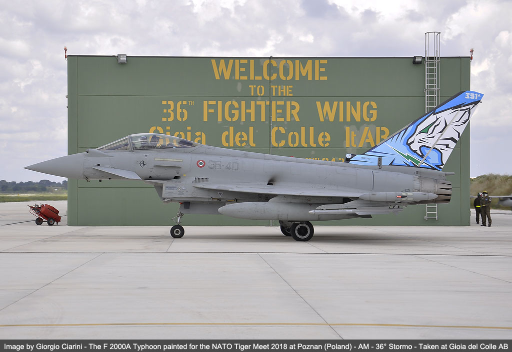 36 stormo 10 e 12 gruppo image 60