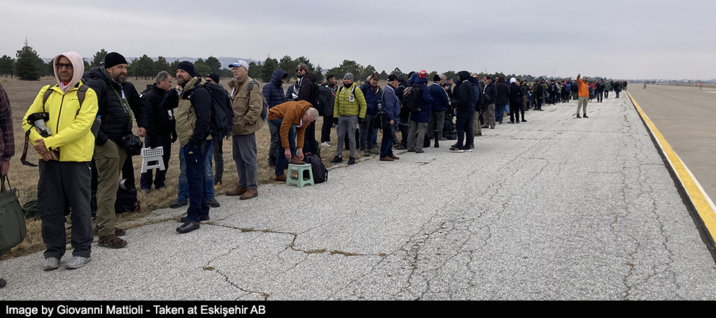 50 Anniversario F 4 TAF image 3