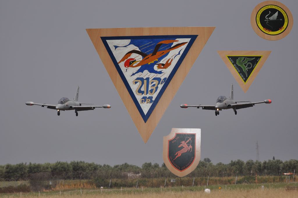 61 stormo image 37