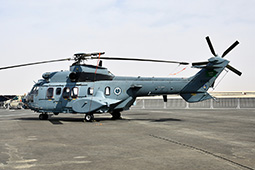 Air Show Riyadh 2026 image 27