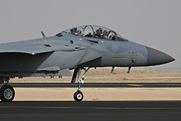 Air Show Riyadh 2026 image 48
