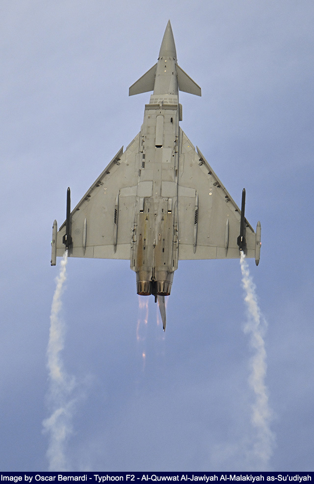 Air Show Riyadh 2026 image 52