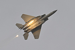 Air Show Riyadh 2026 image 64