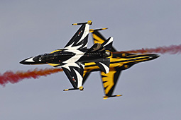 Air Show Riyadh 2026 image 92