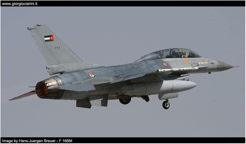 anatolian eagle 2014 image 196