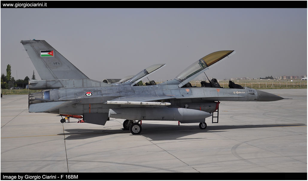 anatolian eagle 2014 image 197