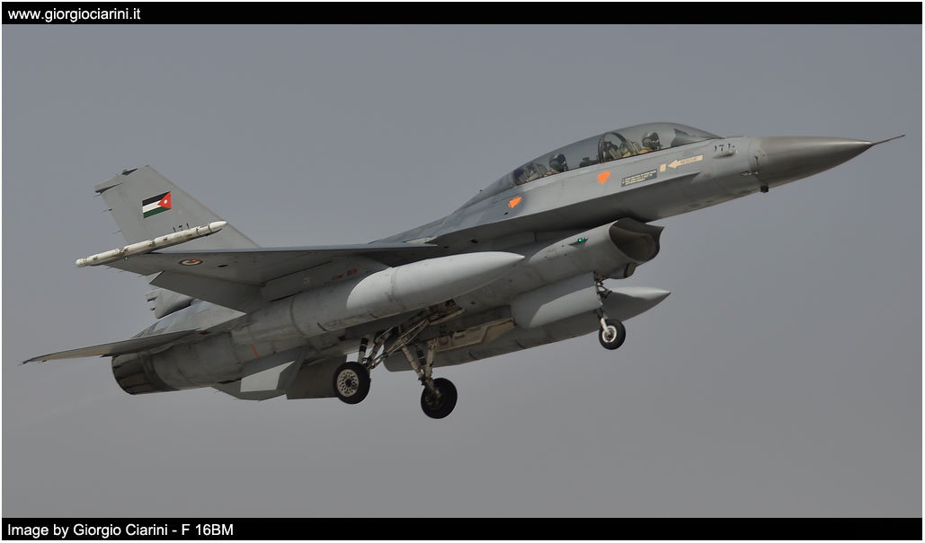 anatolian eagle 2014 image 199