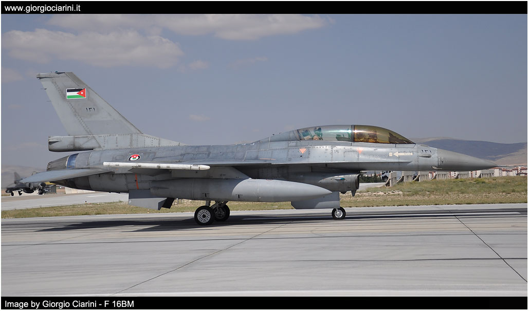 anatolian eagle 2014 image 200