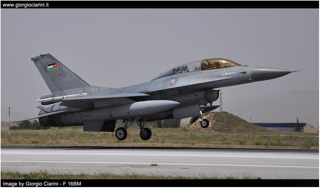 anatolian eagle 2014 image 201