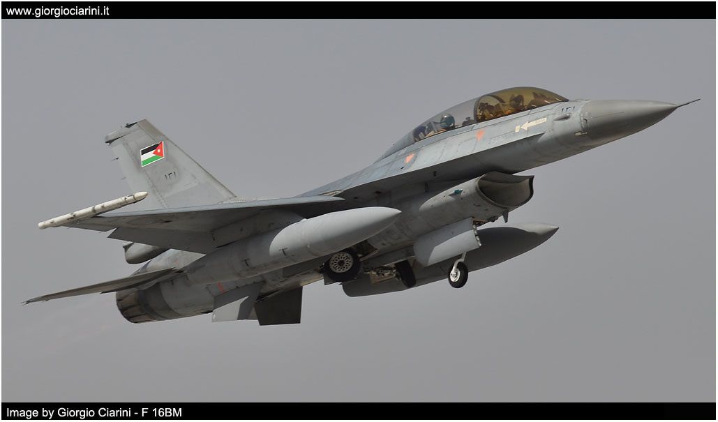 anatolian eagle 2014 image 203