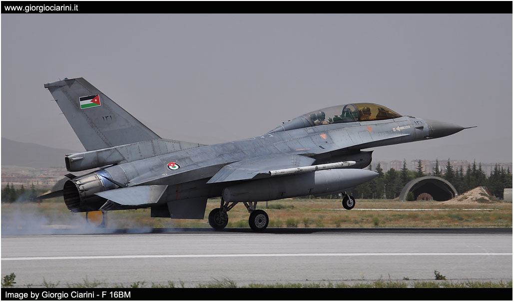 anatolian eagle 2014 image 204