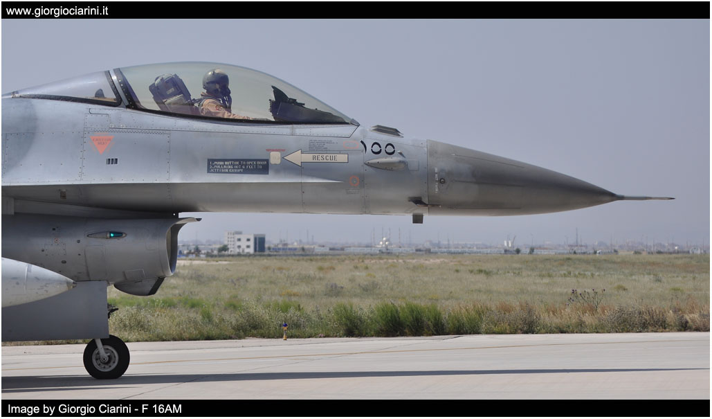 anatolian eagle 2014 image 205