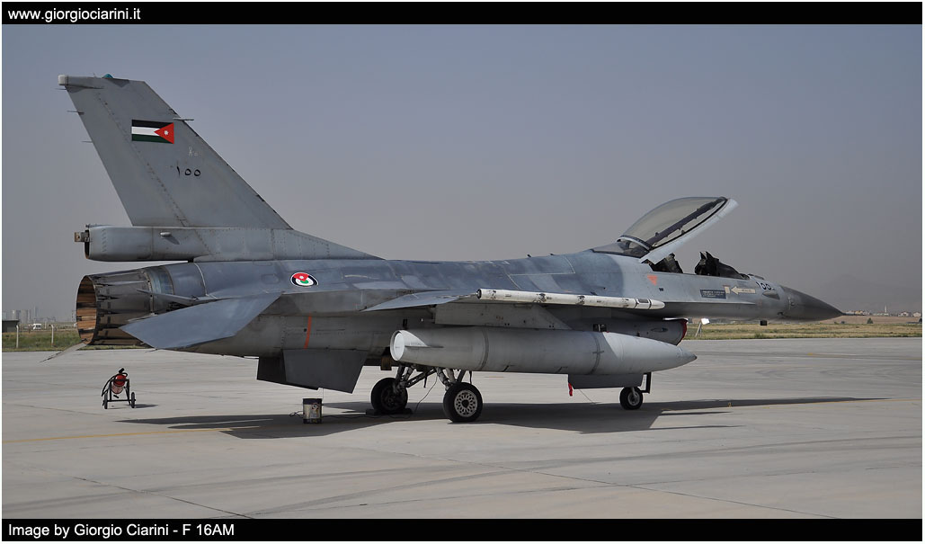 anatolian eagle 2014 image 206