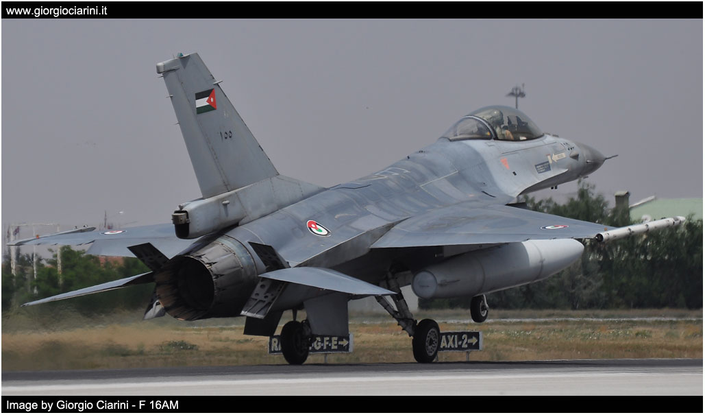 anatolian eagle 2014 image 207