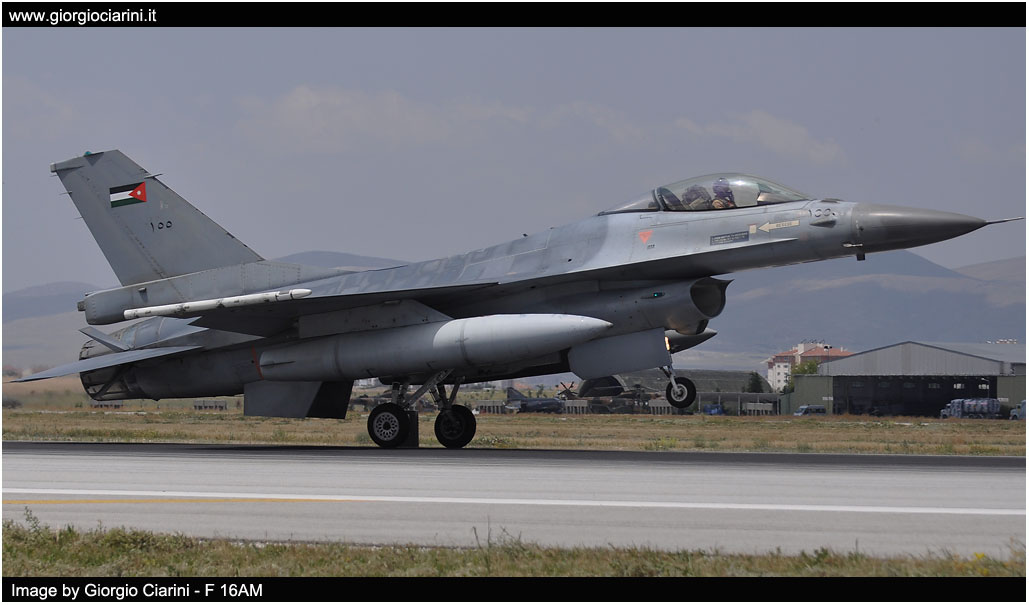 anatolian eagle 2014 image 208