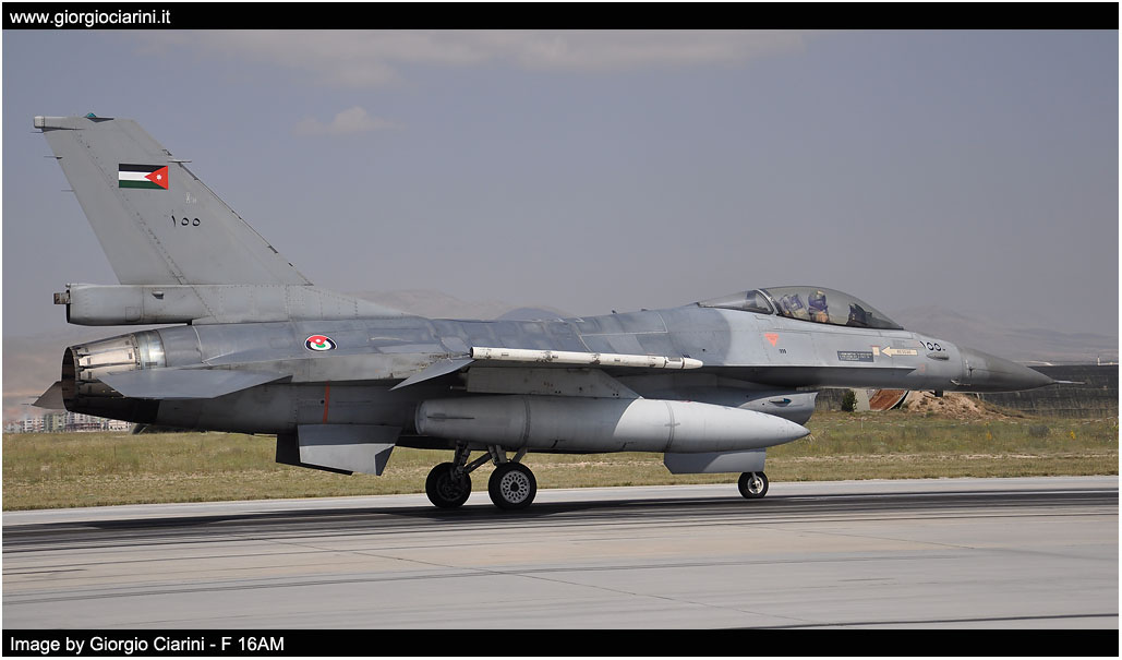 anatolian eagle 2014 image 209