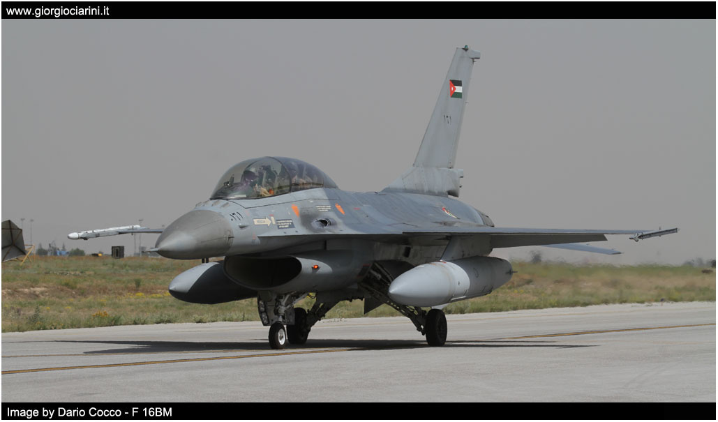 anatolian eagle 2014 image 210