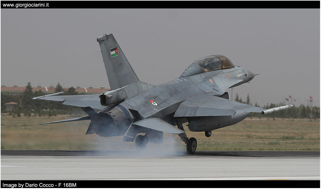 anatolian eagle 2014 image 211