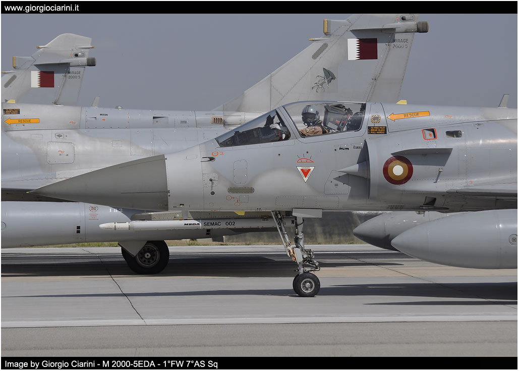 anatolian eagle 2014 image 118