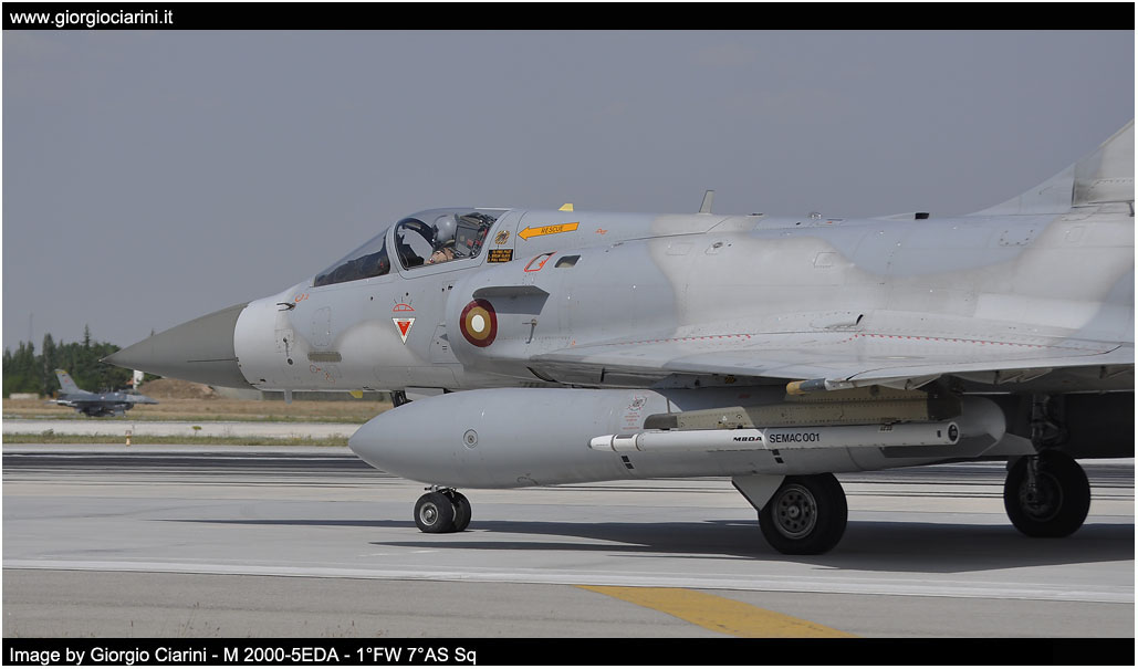 anatolian eagle 2014 image 119