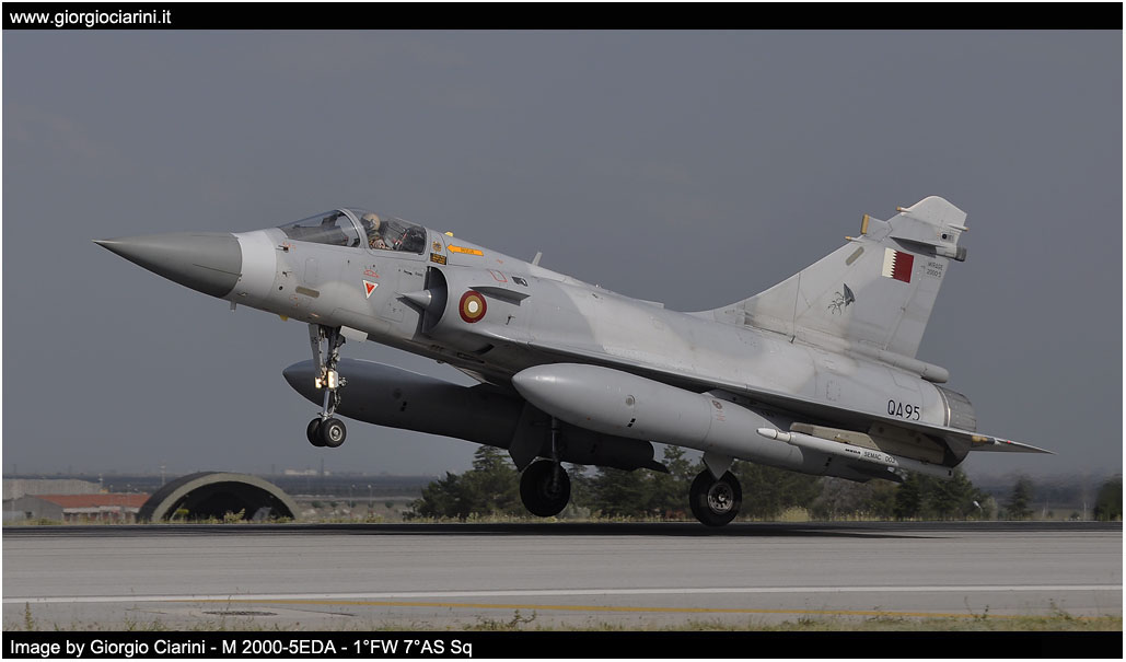 anatolian eagle 2014 image 123