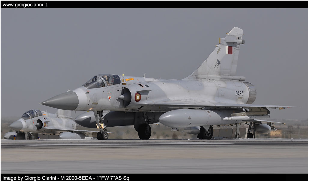 anatolian eagle 2014 image 125