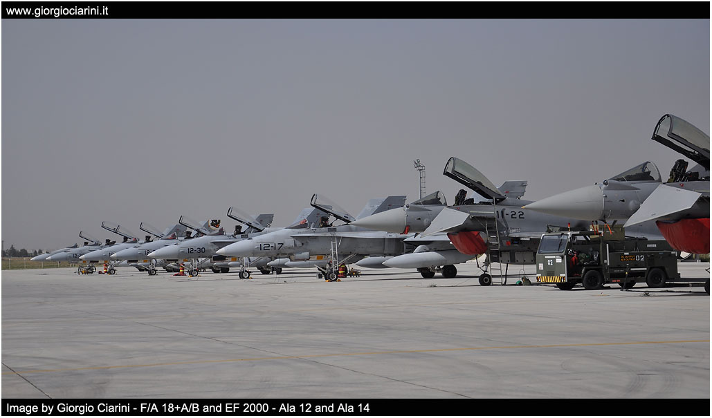 anatolian eagle 2014 image 131