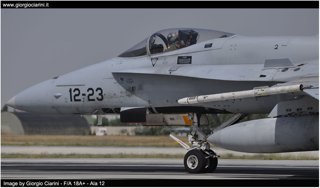 anatolian eagle 2014 image 134