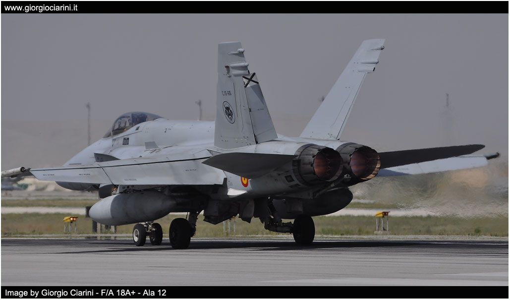 anatolian eagle 2014 image 135