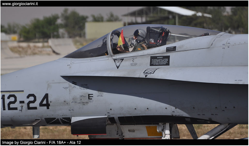 anatolian eagle 2014 image 136