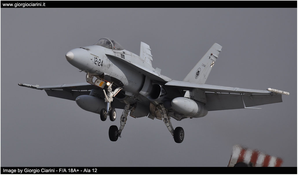 anatolian eagle 2014 image 137