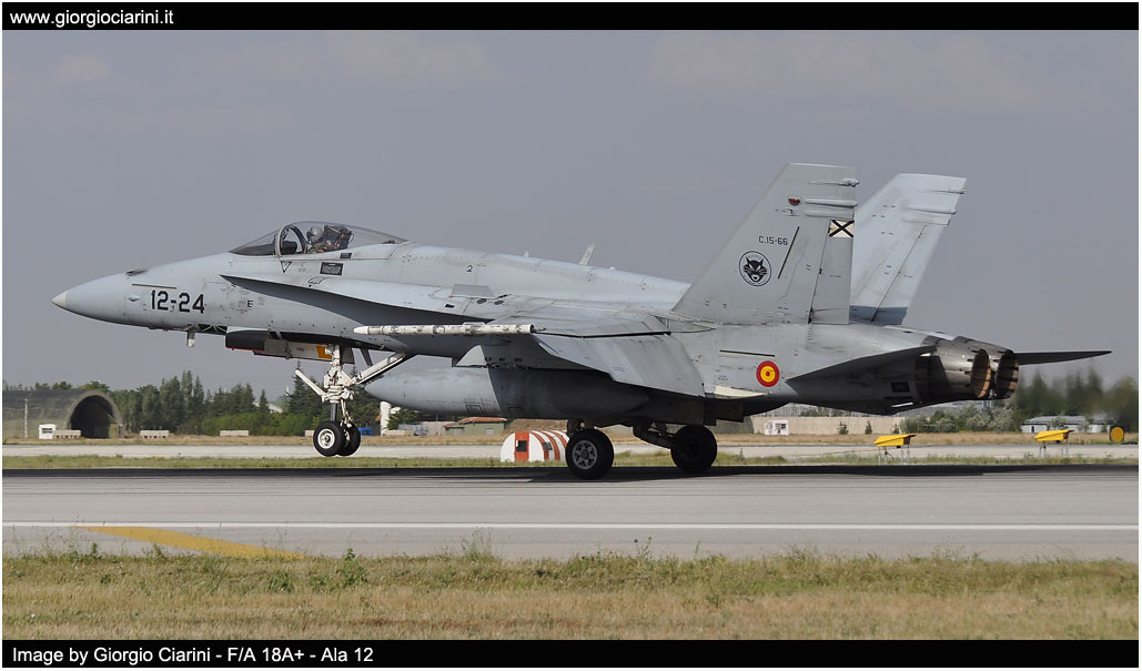 anatolian eagle 2014 image 138