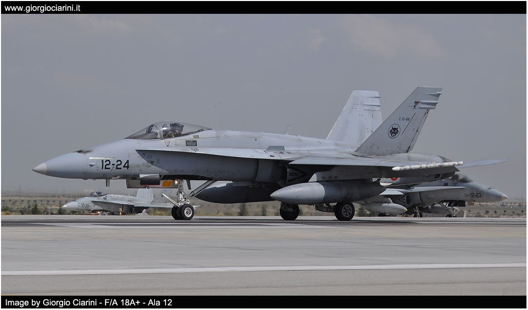 anatolian eagle 2014 image 139