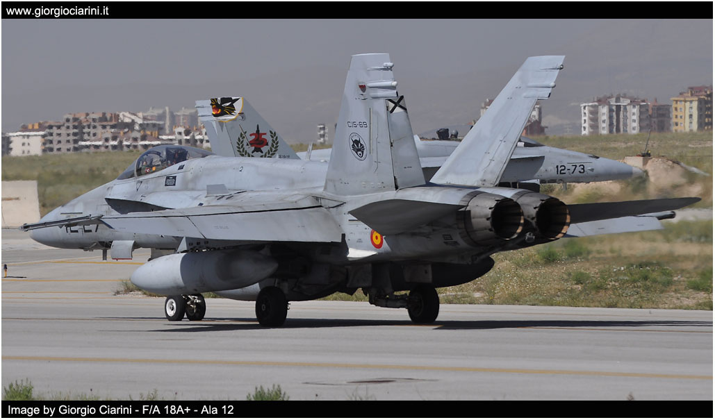 anatolian eagle 2014 image 141