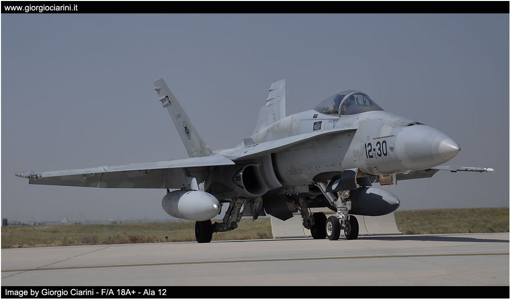 anatolian eagle 2014 image 142