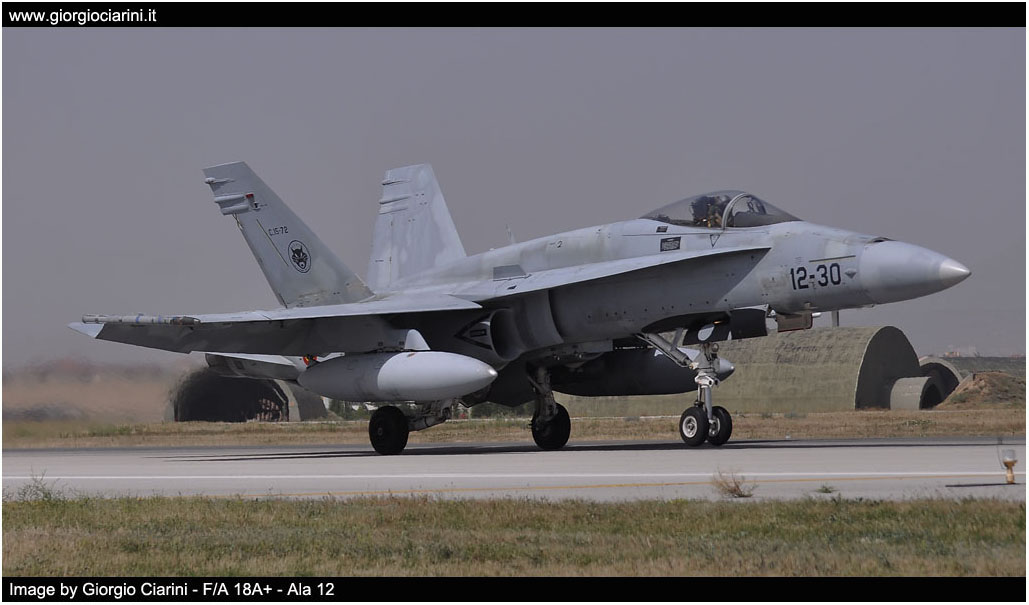 anatolian eagle 2014 image 143