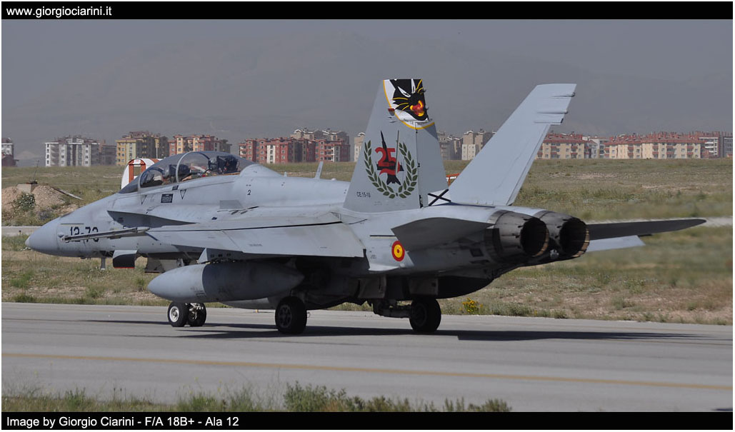 anatolian eagle 2014 image 144