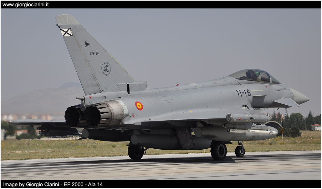 anatolian eagle 2014 image 147