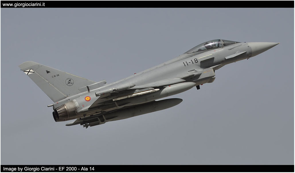 anatolian eagle 2014 image 148