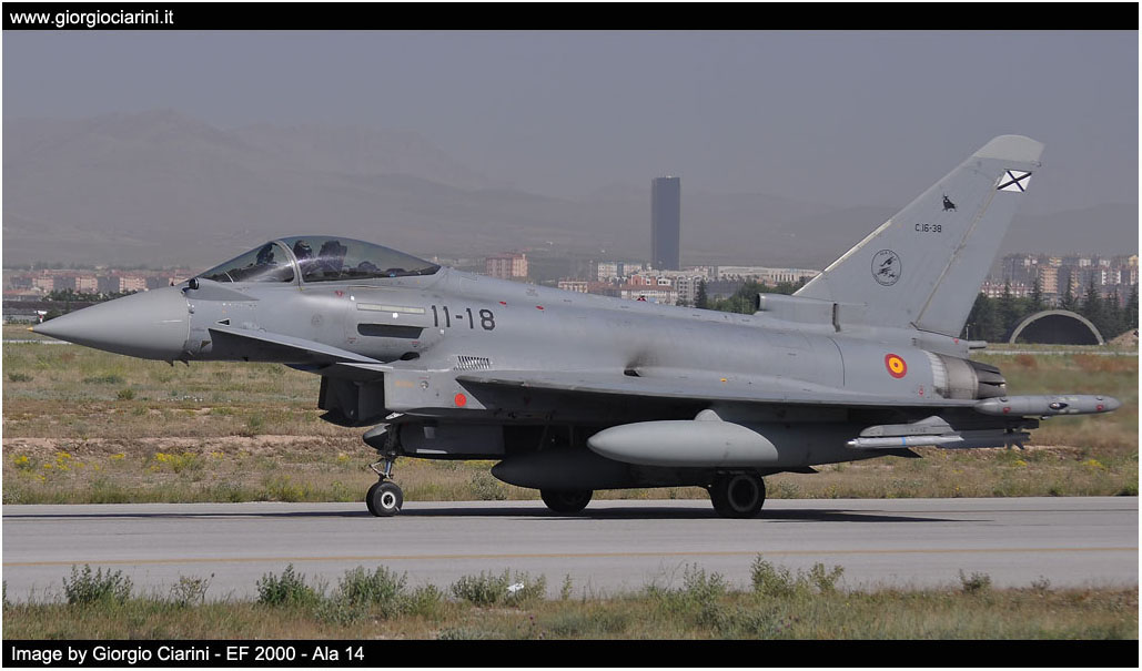 anatolian eagle 2014 image 149