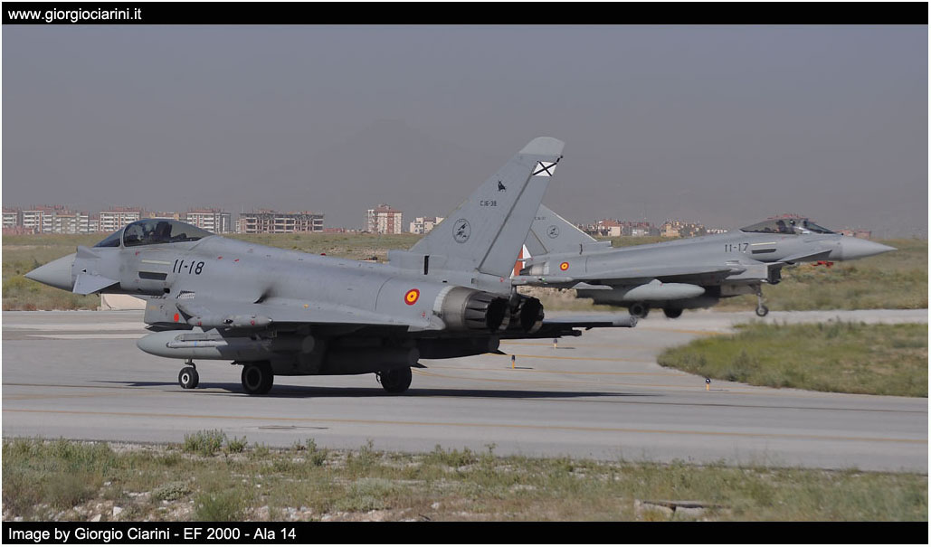 anatolian eagle 2014 image 150