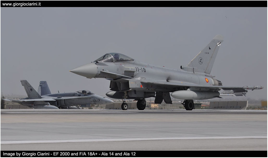 anatolian eagle 2014 image 151