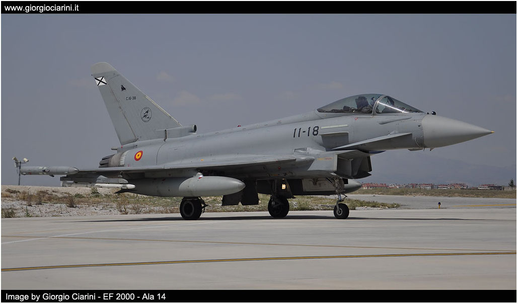 anatolian eagle 2014 image 152