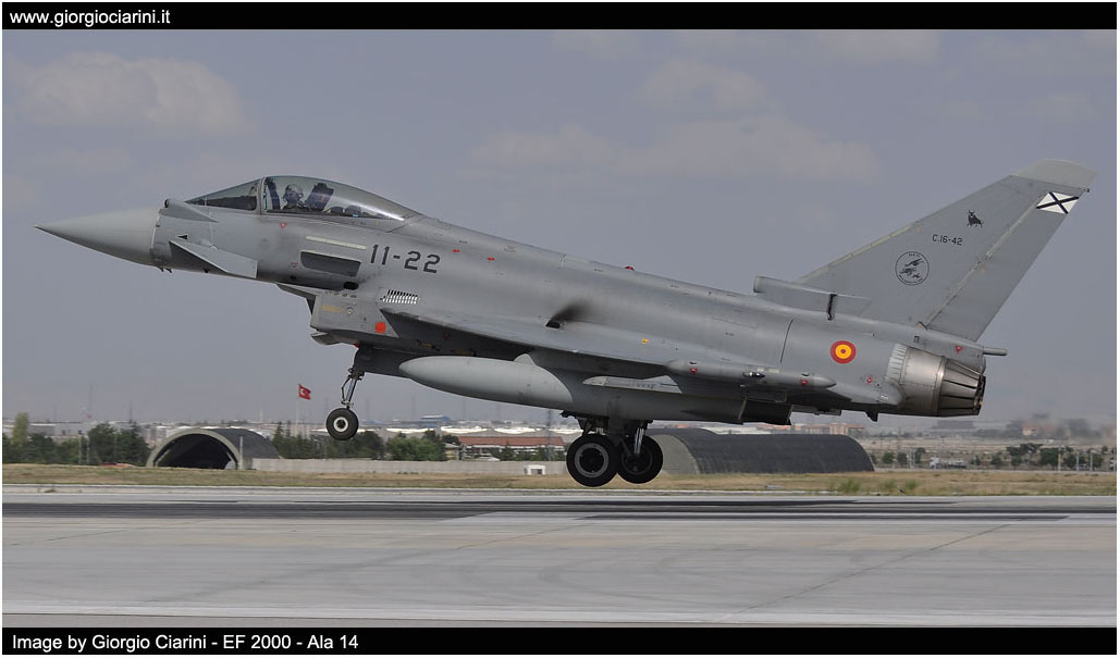 anatolian eagle 2014 image 153