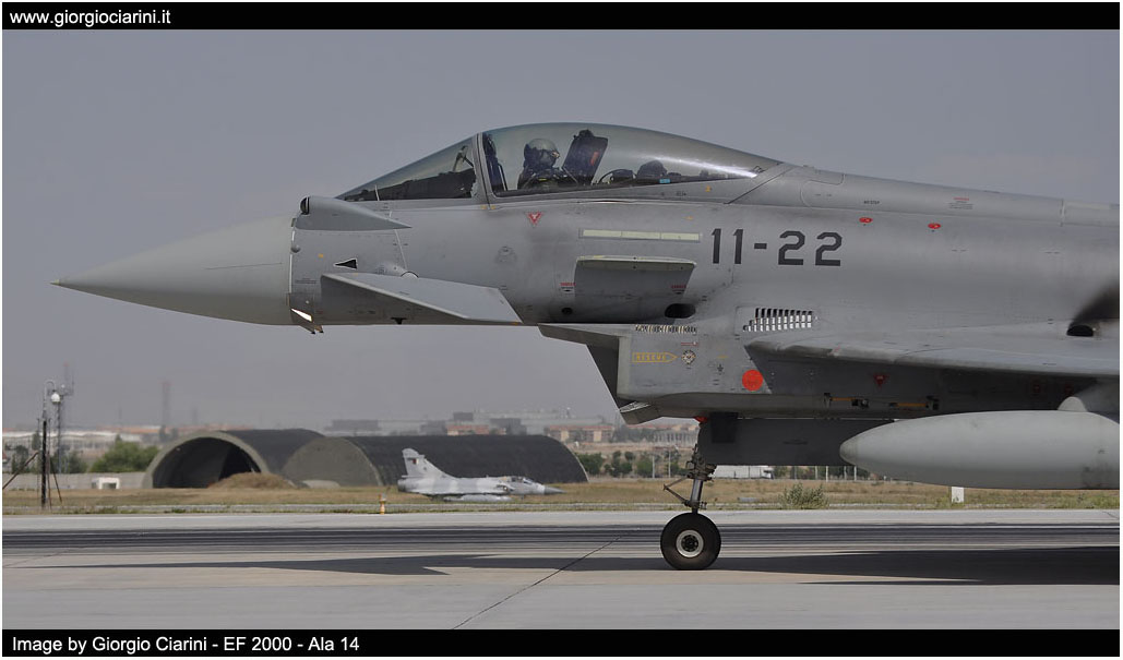 anatolian eagle 2014 image 154