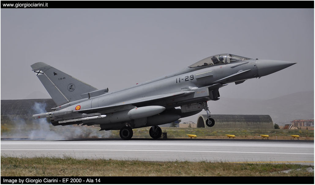 anatolian eagle 2014 image 155