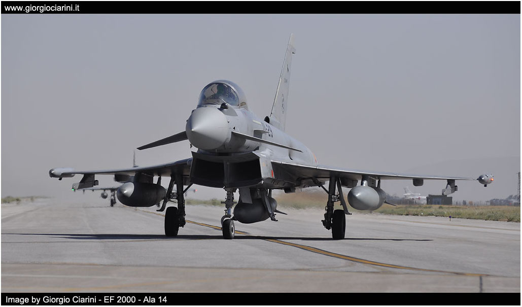 anatolian eagle 2014 image 156