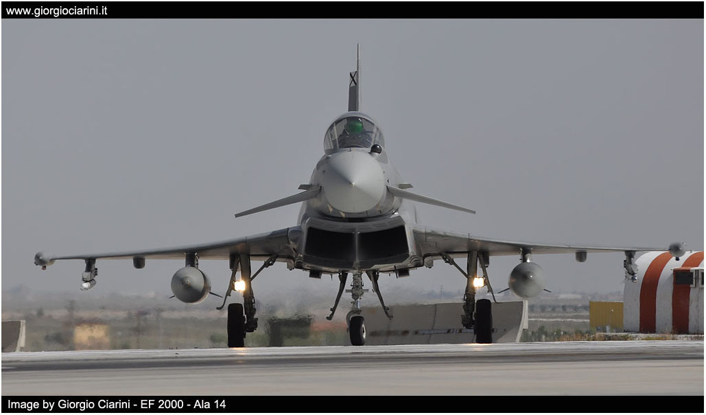 anatolian eagle 2014 image 157