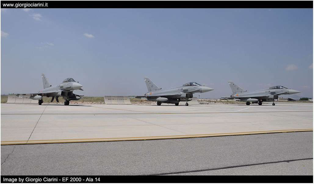 anatolian eagle 2014 image 158